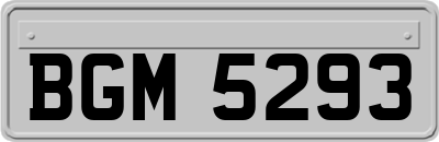 BGM5293