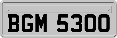 BGM5300
