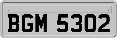 BGM5302