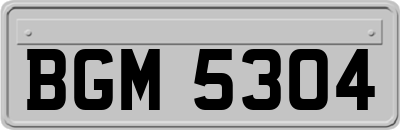 BGM5304