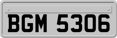 BGM5306