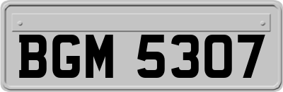 BGM5307