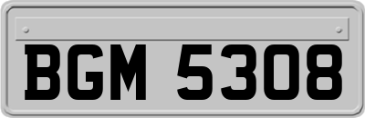 BGM5308