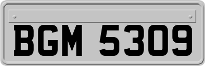 BGM5309