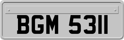 BGM5311