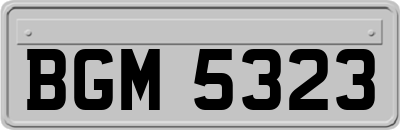 BGM5323