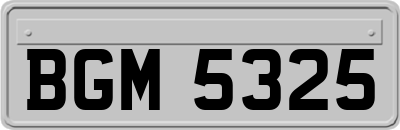 BGM5325