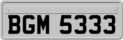 BGM5333