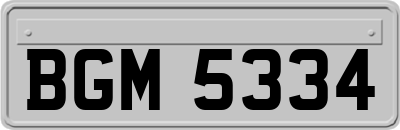 BGM5334
