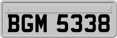 BGM5338