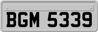 BGM5339