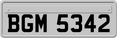 BGM5342