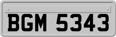BGM5343