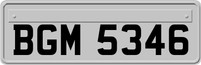 BGM5346