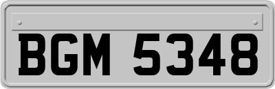 BGM5348