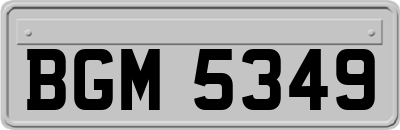 BGM5349