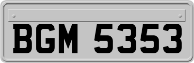 BGM5353