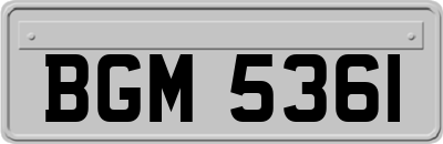 BGM5361