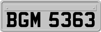 BGM5363