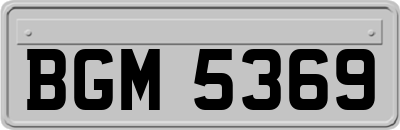 BGM5369