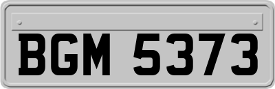 BGM5373