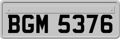 BGM5376