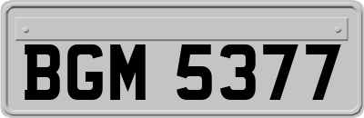 BGM5377