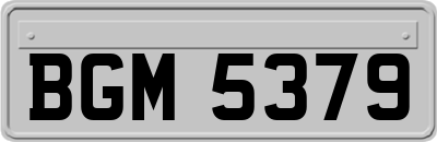 BGM5379