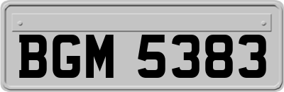 BGM5383