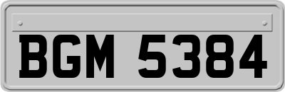 BGM5384