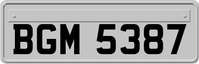 BGM5387