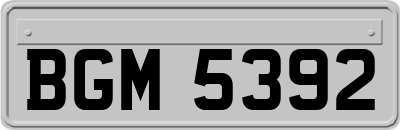 BGM5392