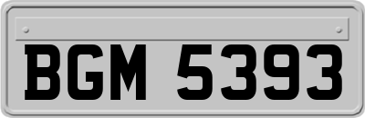 BGM5393