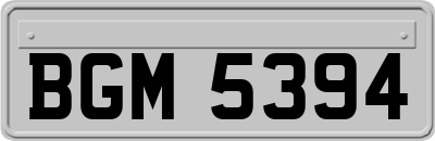 BGM5394
