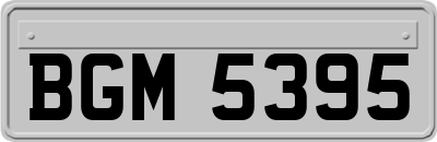 BGM5395