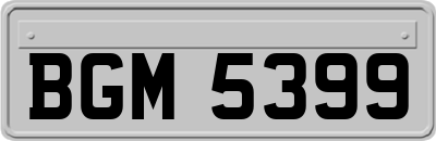 BGM5399