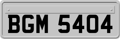 BGM5404