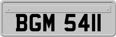 BGM5411