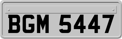 BGM5447