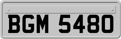 BGM5480