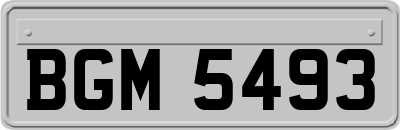 BGM5493