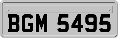 BGM5495