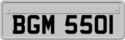 BGM5501