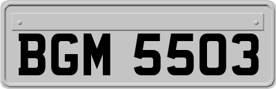 BGM5503