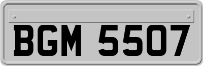 BGM5507