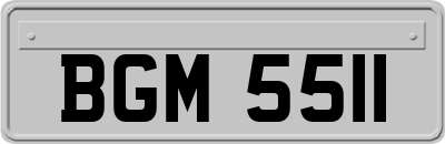 BGM5511