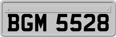 BGM5528