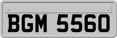 BGM5560
