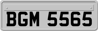 BGM5565
