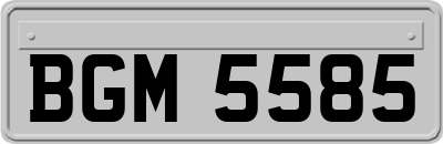 BGM5585